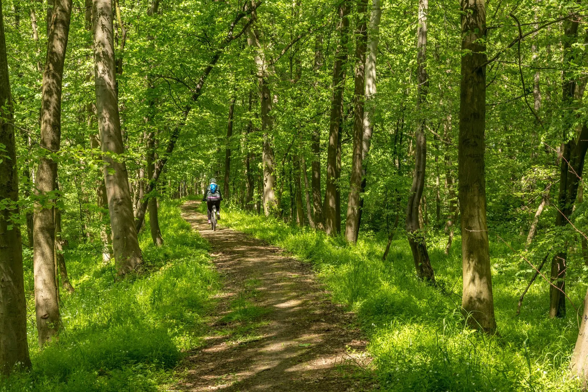 Ścieżki rowerowe wzdłuż Parku Krajobrazowego